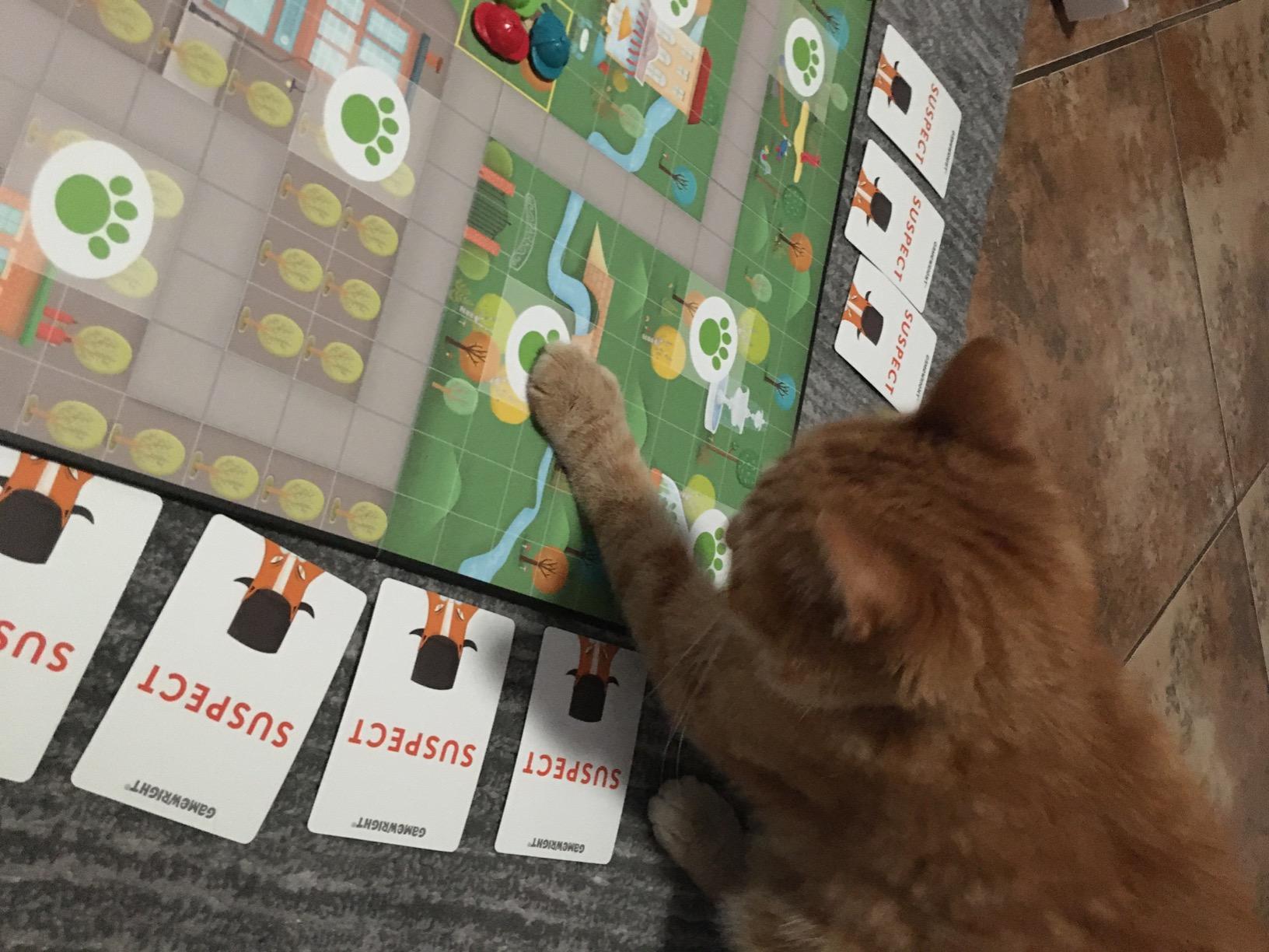 Avis client Outfoxed Jeu de Société 8